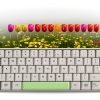 Typing Tutor Pro SelectSoft 40 Lesson Software-1